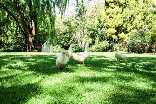 Budmarsh Private Lodge