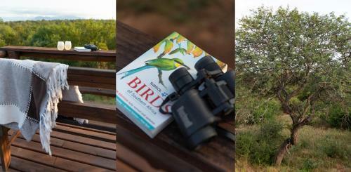 Bed & Breakfast Nyaleti Lodge