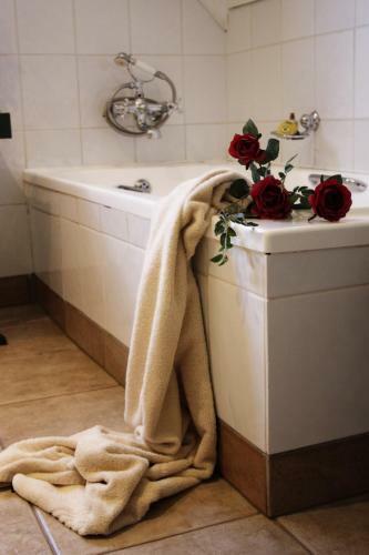 Hostal Fox's Hill Guesthouse