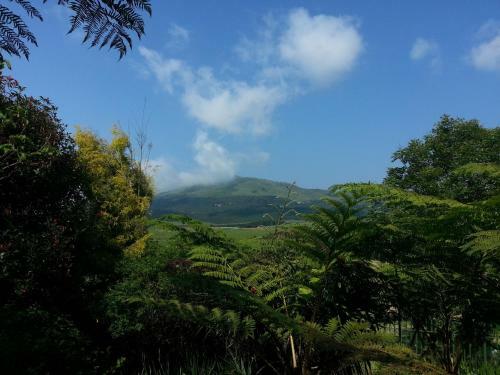Hostal Linga Longa Country Guesthouse