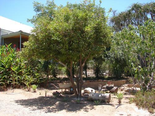 Hostal 365 On St Helena