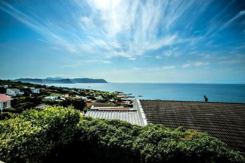 Hostal Penguinden Accommodation And Apartments