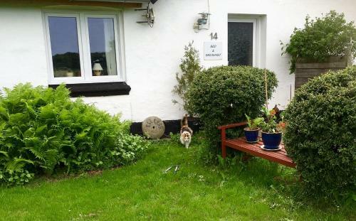 Hostal Ellek�r-g�rd