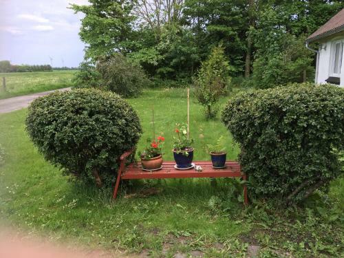 Hostal Ellek�r-g�rd