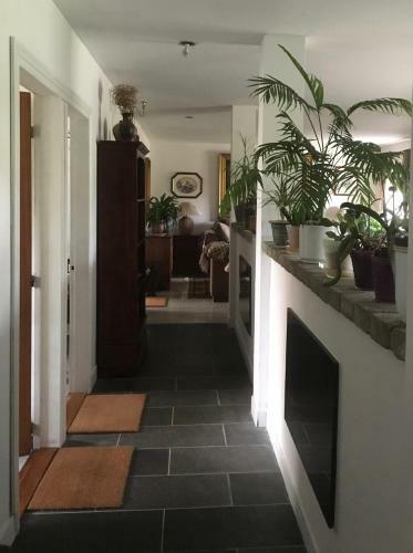 Hostal Ellek�r-g�rd