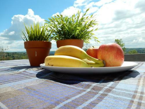 Large Villa In Joyeuse France With Private Swimming Pool