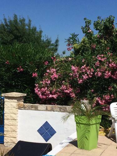 Bed & Breakfast Le Mas D Emma