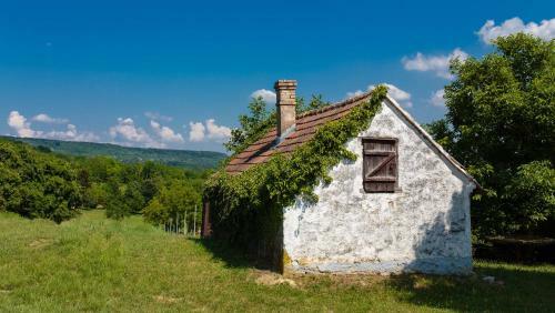 �reghegyi Apartman