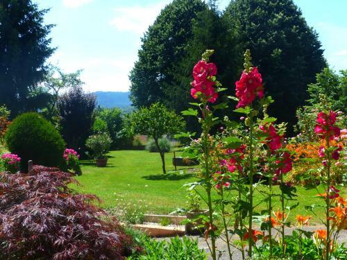 Hotel H�tel Morris