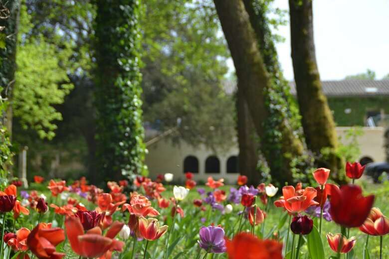 Bed & Breakfast Chateau Pont Saint-martin