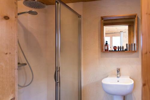 Chalet Les Drus