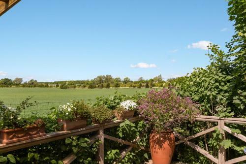 �lholm Cottage