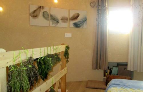 Hostal La Tour Aux Tilleuls