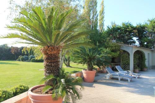 Villa Le Mas Des Oliviers/la Bergerie