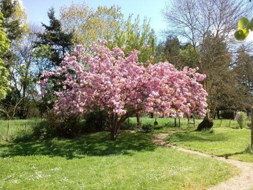 Bed & Breakfast Rive Gauche