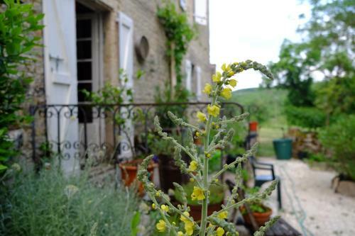 Bed & Breakfast Roquedure Farm
