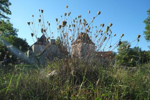 Bed & Breakfast Roquedure Farm