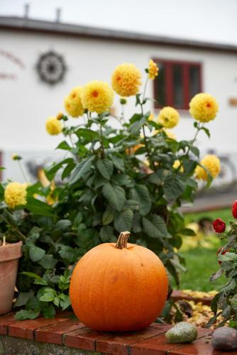Hotelpension Klippen