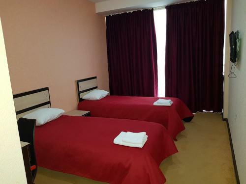 Hotel Grand Vejini