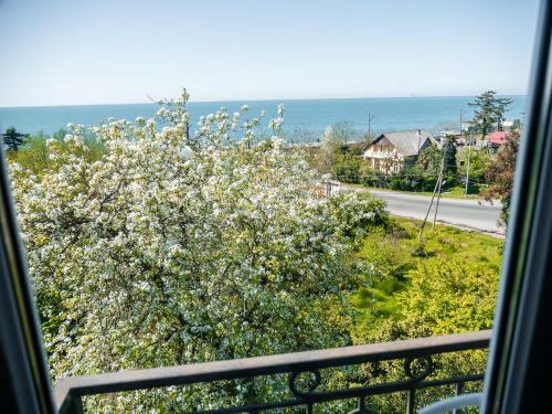 Hostal Irakli Guest House