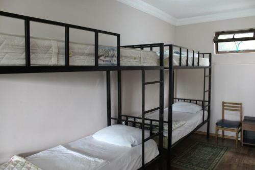 Tj Hostel