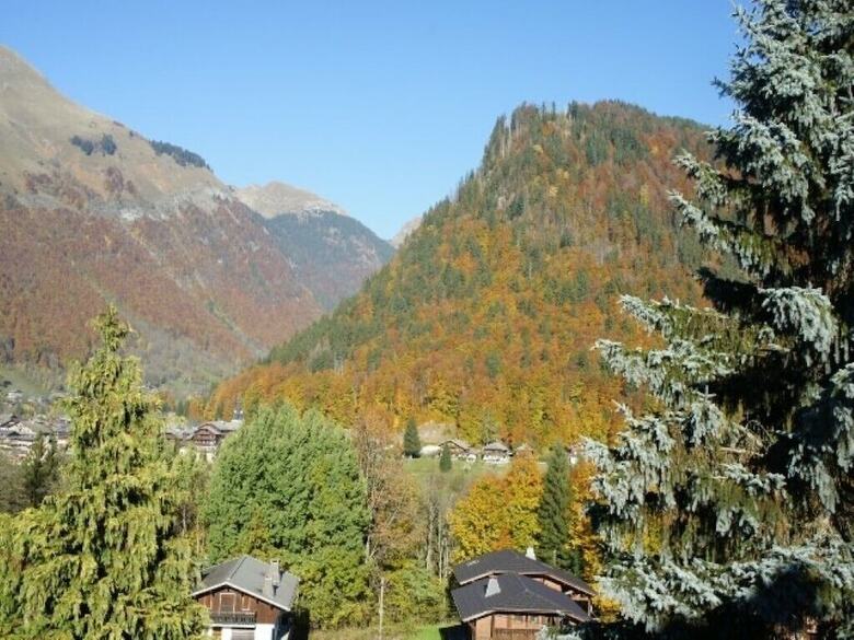 Apartamento Morzine 1000