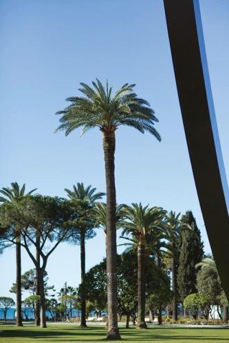 Apartamento Le Saint Joseph - Old Tow, 2 Appartments In 1