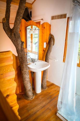 Cabane Dans Les Arbres