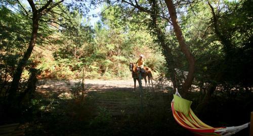 Espace Blue Oc�an