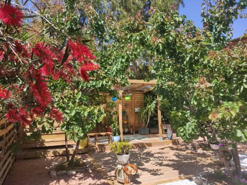 Bed & Breakfast Maison D'h�tes Coeur D'h�rault
