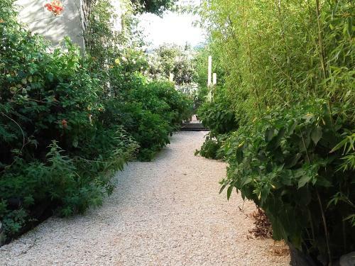 Bed & Breakfast Maison D'h�tes Coeur D'h�rault