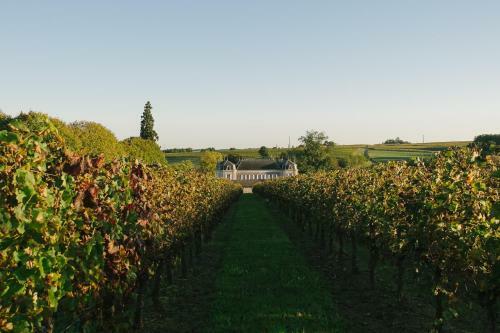 Bed & Breakfast Chateau Carbonneau