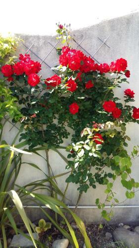 Bed & Breakfast Au Bon Penequet