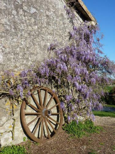 Bed & Breakfast La Schaafraniere