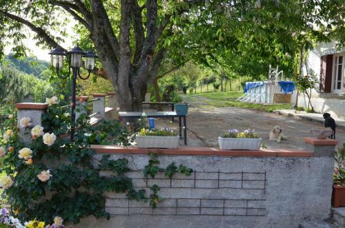 Bed & Breakfast Maison H�tes Pacelian