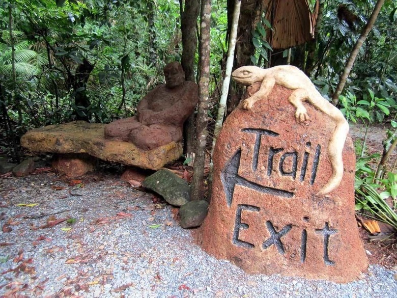 Bed & Breakfast Rainforest Hideaway