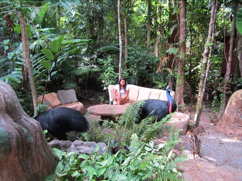 Bed & Breakfast Rainforest Hideaway