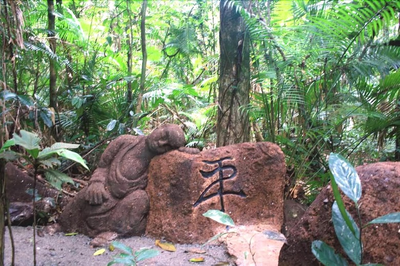 Bed & Breakfast Rainforest Hideaway