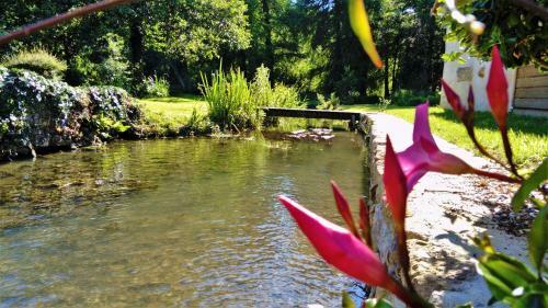 Villa Propri�t� Du Moulin La Place
