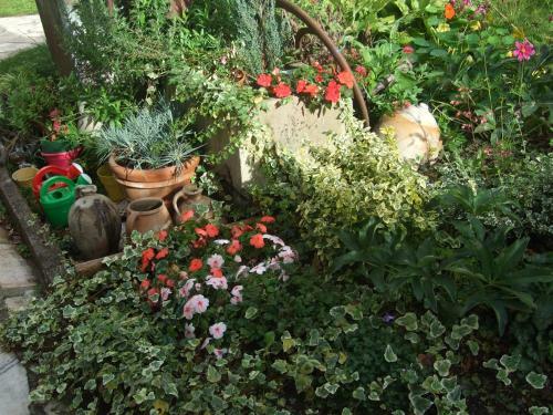 Bed & Breakfast Aurore De Beaufort