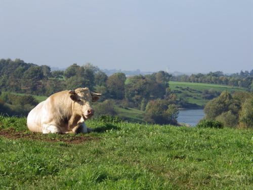 Bed & Breakfast A La Haute Bouillere