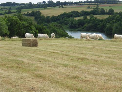 Bed & Breakfast A La Haute Bouillere
