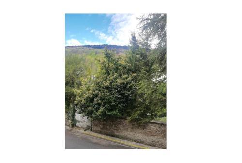 Apartamento Appartement Proche Des Pistes � Pyr�n�es 2000 70297