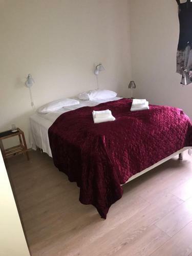 Hostal Guesthouse Skj�ld�lfsstadir