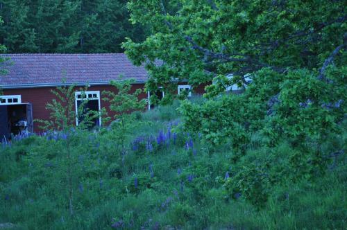 Hostal Gryts Sk�rg�rdspensionat