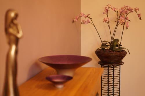 Apartamento Bwthyn Bryn Yr Aber