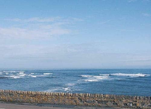 Dune View