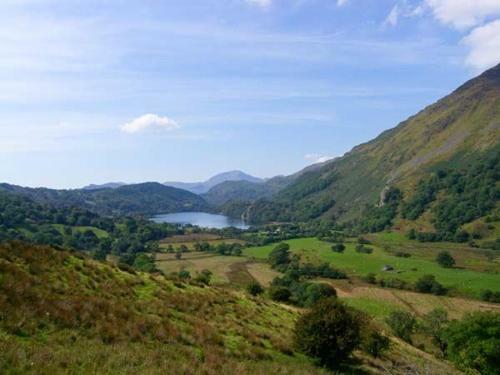 Bwythyn Y Wennol