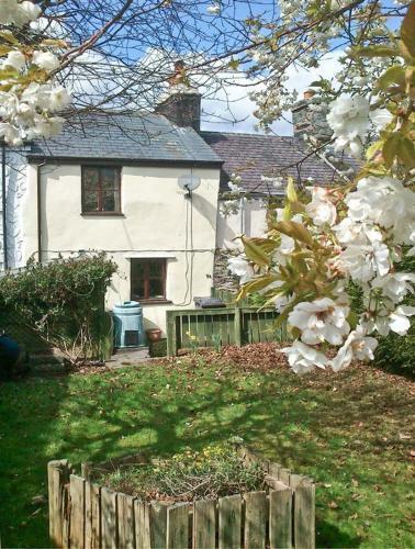 3 Tyn Y Mynydd