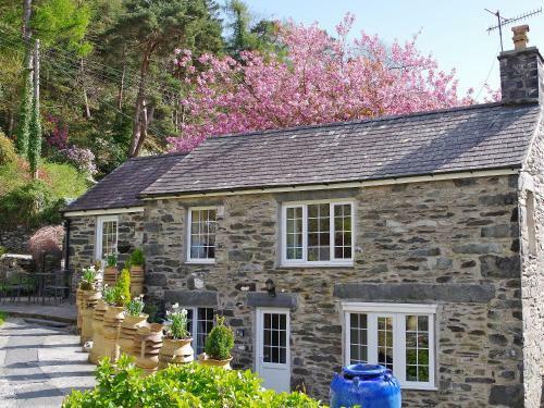 Ty'n Y Fron Cottage